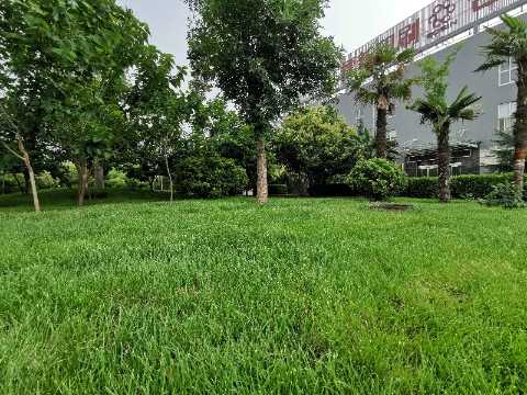 山西墨宝盈印刷有限公司的企业标志