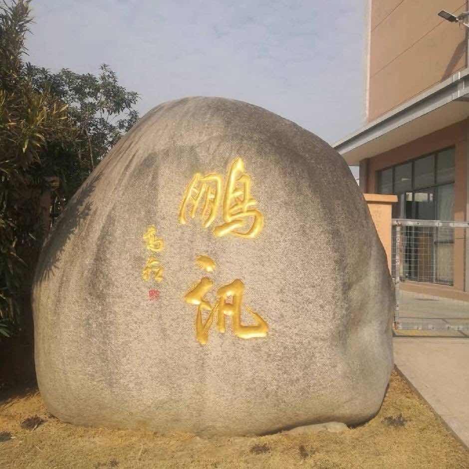 广德鹏讯实业有限公司的企业标志