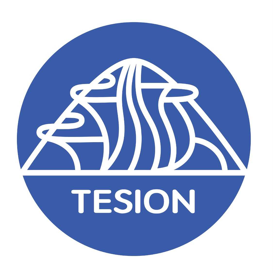 江苏天顺印业有限公司的企业标志