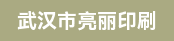 司机、皮壳机长