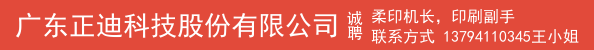  广东正迪科技股份有限公司