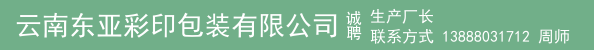 生产厂长