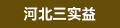 副总/厂长