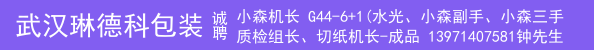 小森机长 G44-6+1(水光、小森副手、小森三手