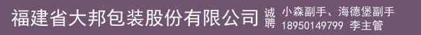 小森副手、海德堡副手
